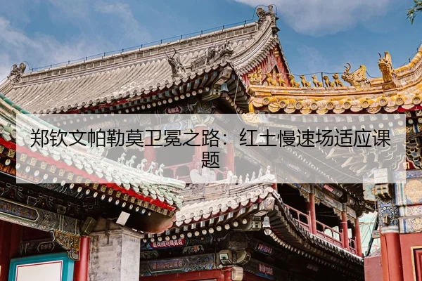 zheng-qin-wen-pa-lei-mo-wei-mian-zhi-lu-hong-tu-man-su-chang-shi-ying-ke-ti-3-873.jpg