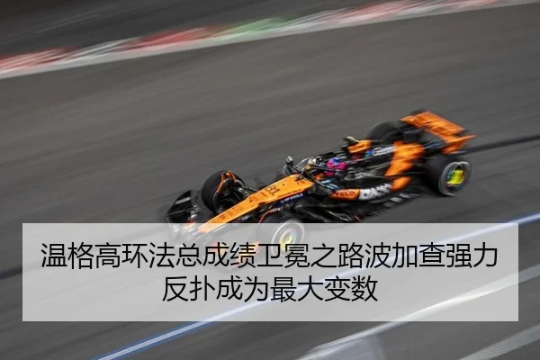 wen-ge-gao-huan-fa-zong-cheng-ji-wei-mian-zhi-lu-bo-jia-cha-qiang-li-fan-pu-cheng-wei-zui-da-bian-shu-3-295.jpg